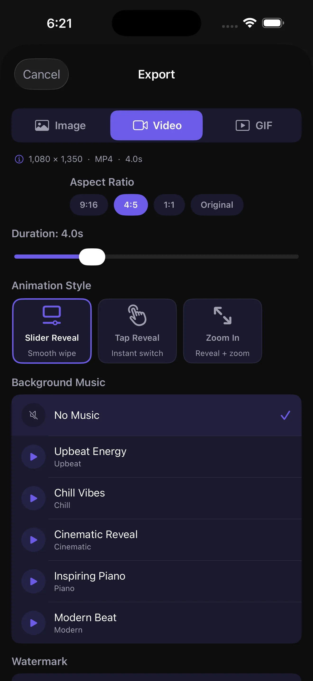 The app's export sheet showing the video format, aspect ratio row, duration slider, the three animation styles and the background music list